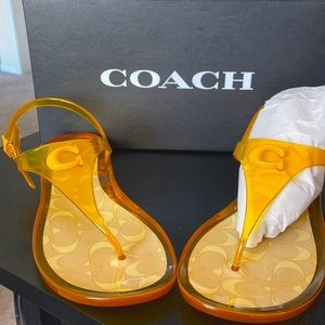 Coach Natalee Jelly Buttercup Sandals